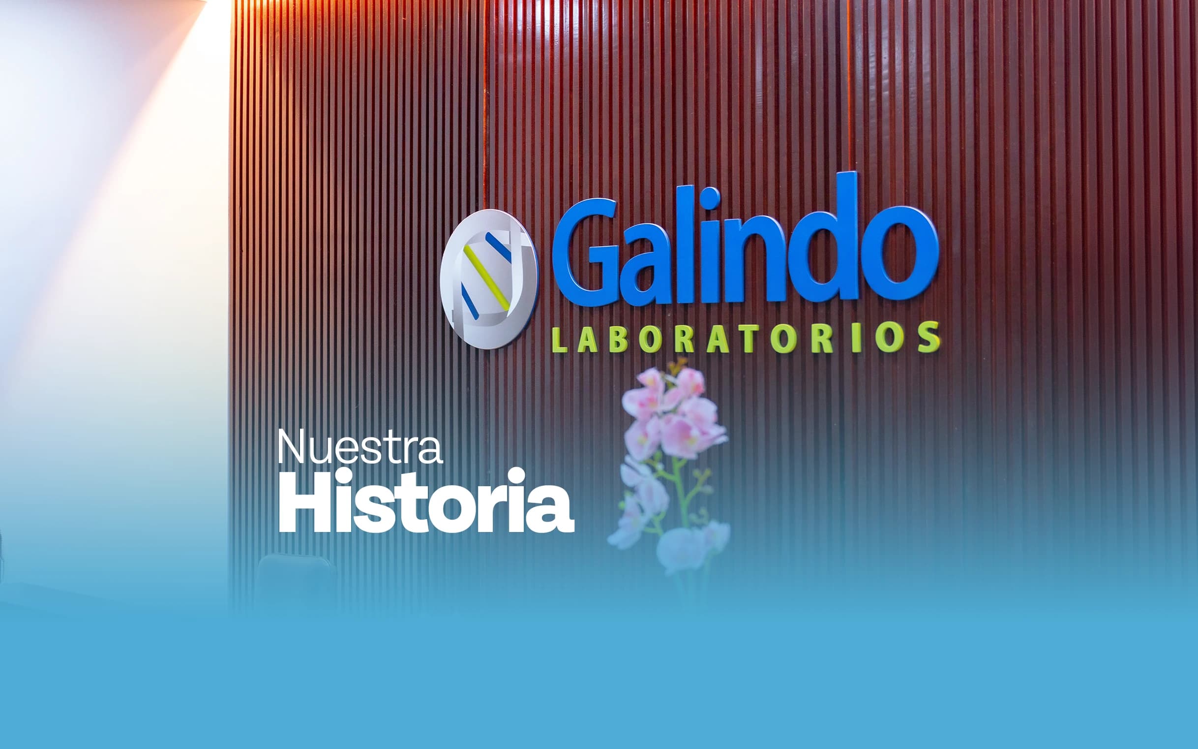 Nuestro equipo
